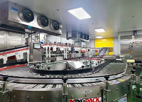 自动化套袋机生产厂 驱动现代包装技术变革的核心力量与技术服务创新